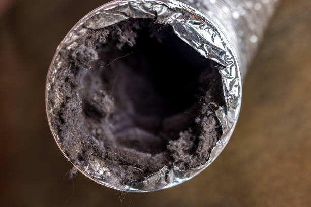 Best Affordable HVAC Duct Cleaning  in Edwardsville, PA