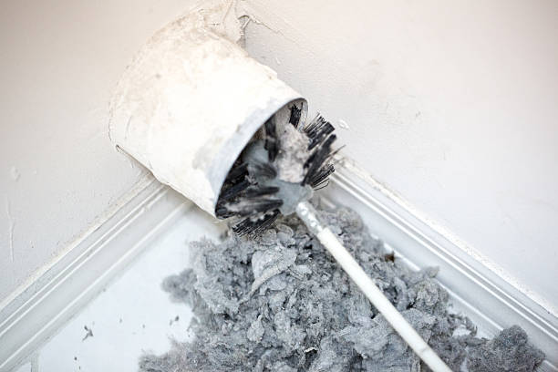Best Duct Cleaning for Homes  in Edwardsville, PA